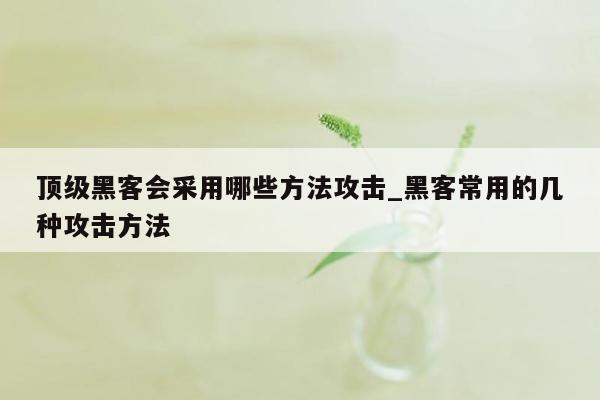 顶级黑客会采用哪些方法攻击_黑客常用的几种攻击方法