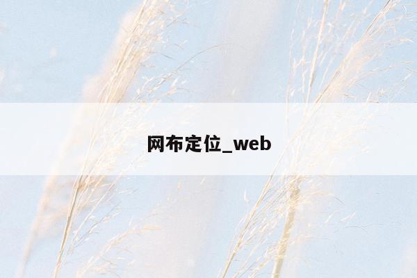 网布定位_web