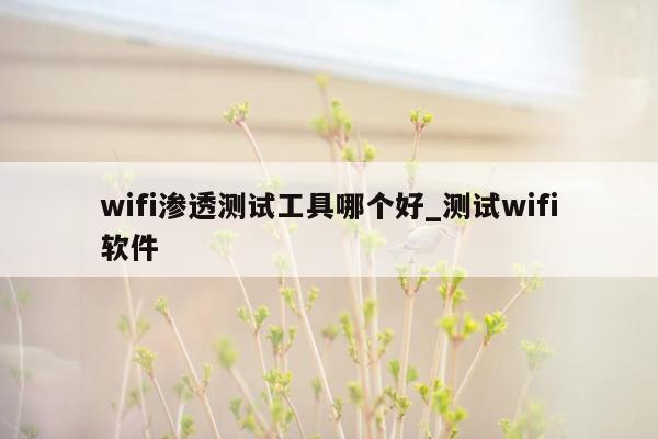 wifi渗透测试工具哪个好_测试wifi软件