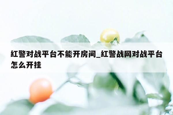 红警对战平台不能开房间_红警战网对战平台怎么开挂