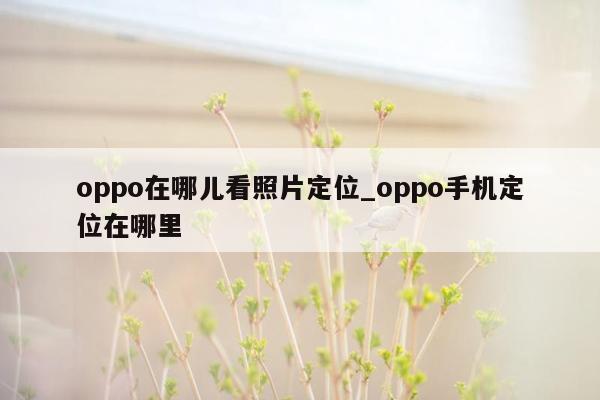 oppo在哪儿看照片定位_oppo手机定位在哪里