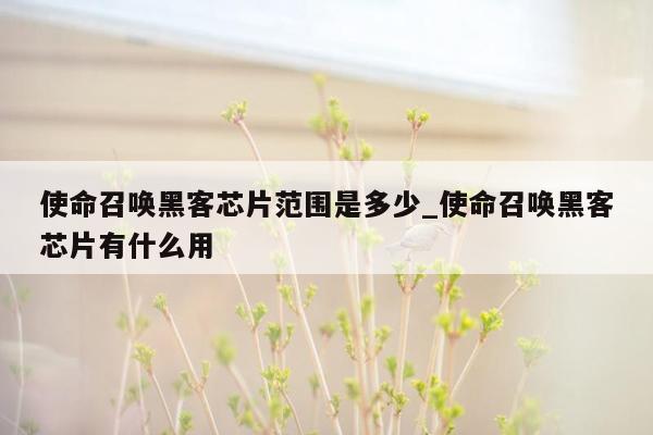 使命召唤黑客芯片范围是多少_使命召唤黑客芯片有什么用