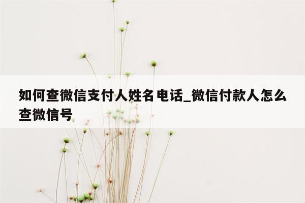 如何查微信支付人姓名电话_微信付款人怎么查微信号