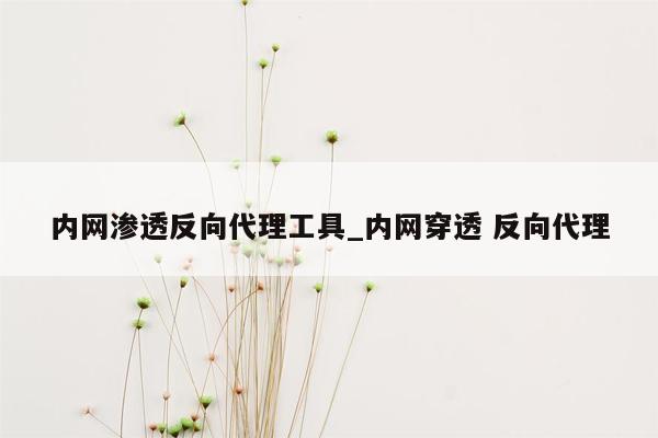 内网渗透反向代理工具_内网穿透 反向代理