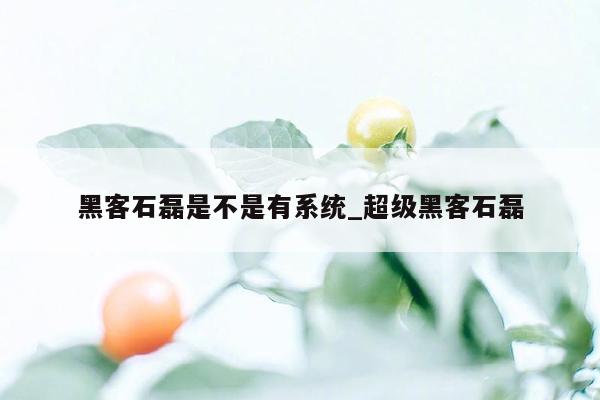 黑客石磊是不是有系统_超级黑客石磊