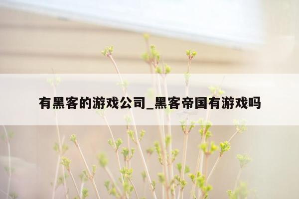 有黑客的游戏公司_黑客帝国有游戏吗