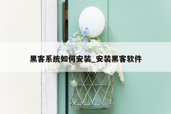 黑客系统如何安装_安装黑客软件