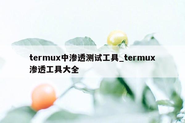 termux中渗透测试工具_termux渗透工具大全