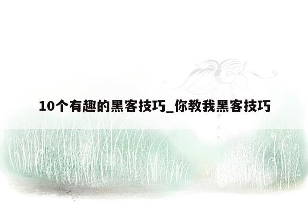 10个有趣的黑客技巧_你教我黑客技巧