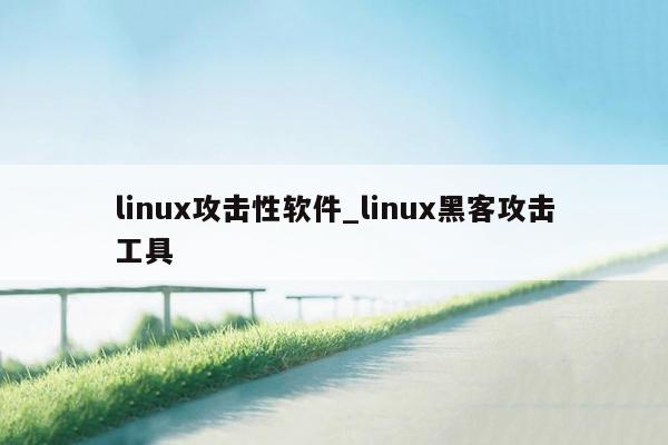 linux攻击性软件_linux黑客攻击工具