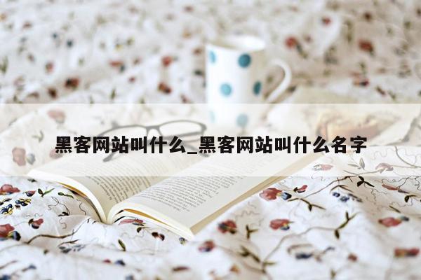 黑客网站叫什么_黑客网站叫什么名字