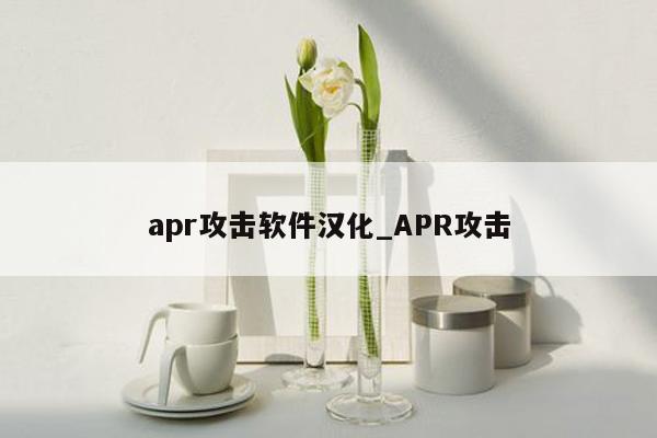 apr攻击软件汉化_APR攻击