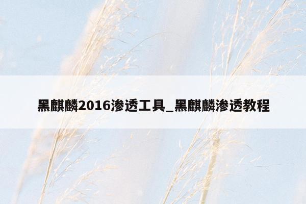 黑麒麟2016渗透工具_黑麒麟渗透教程