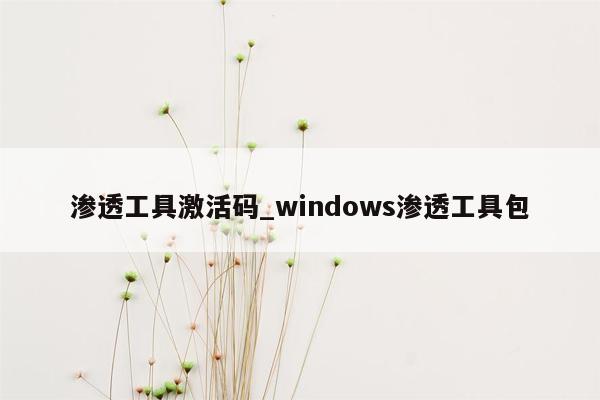 渗透工具激活码_windows渗透工具包