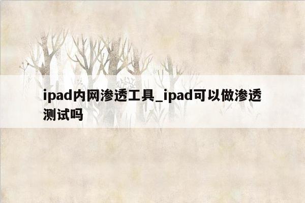 ipad内网渗透工具_ipad可以做渗透测试吗