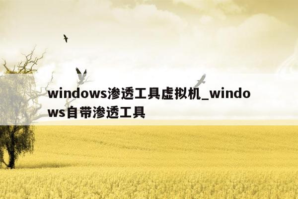 windows渗透工具虚拟机_windows自带渗透工具