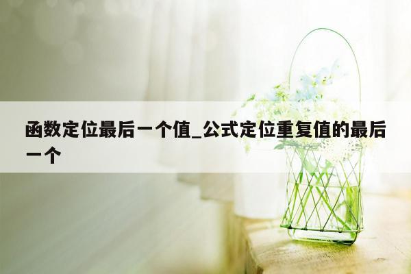 函数定位最后一个值_公式定位重复值的最后一个