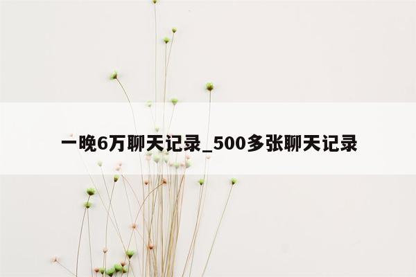 一晚6万聊天记录_500多张聊天记录