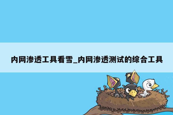 内网渗透工具看雪_内网渗透测试的综合工具