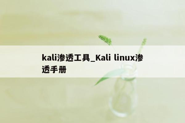 kali渗透工具_Kali linux渗透手册