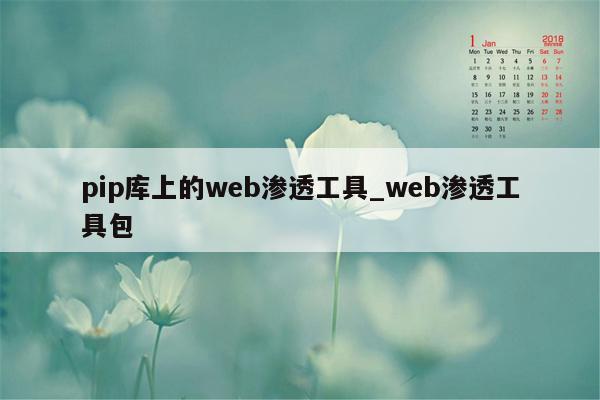 pip库上的web渗透工具_web渗透工具包