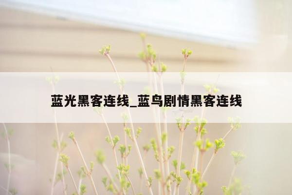 蓝光黑客连线_蓝鸟剧情黑客连线