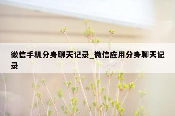 微信手机分身聊天记录_微信应用分身聊天记录