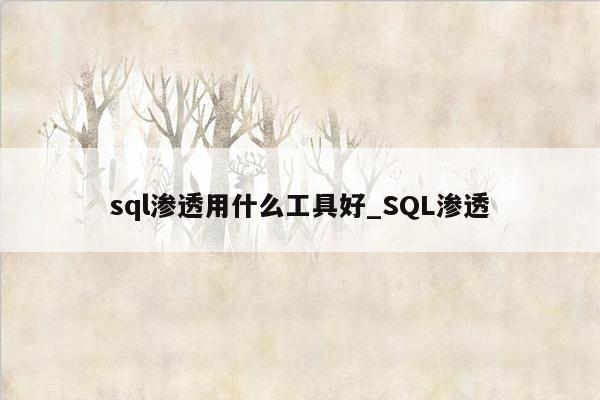 sql渗透用什么工具好_SQL渗透