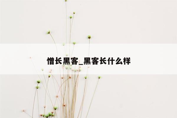 憎长黑客_黑客长什么样