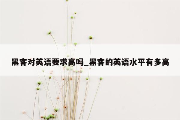 黑客对英语要求高吗_黑客的英语水平有多高