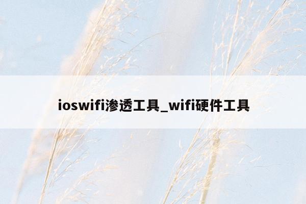 ioswifi渗透工具_wifi硬件工具