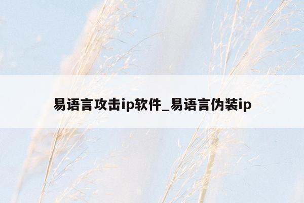 易语言攻击ip软件_易语言伪装ip