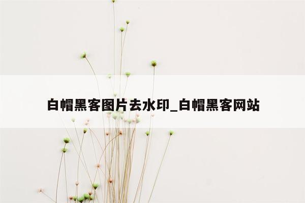 白帽黑客图片去水印_白帽黑客网站