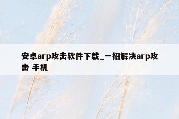 安卓arp攻击软件下载_一招解决arp攻击 手机