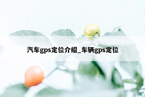 汽车gps定位介绍_车辆gps定位