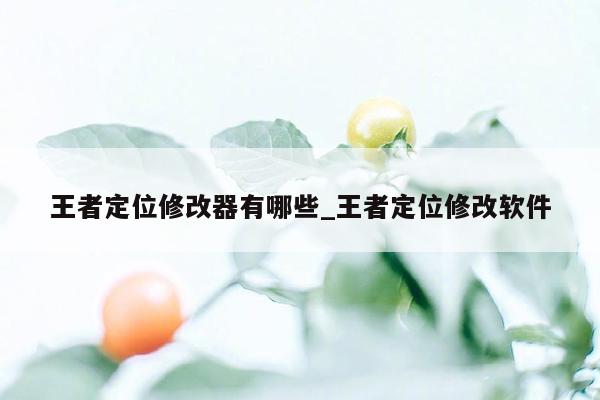 王者定位修改器有哪些_王者定位修改软件