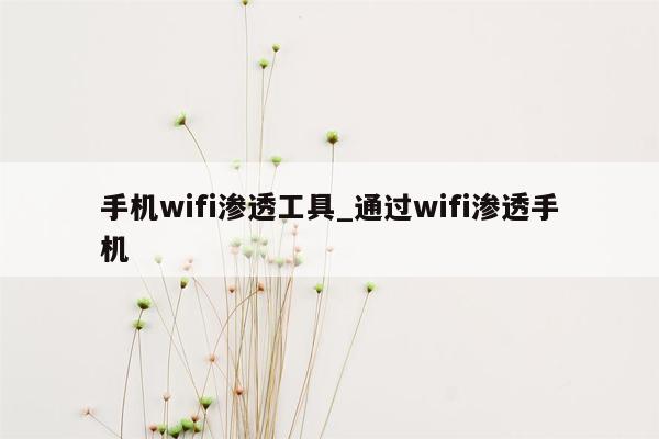 手机wifi渗透工具_通过wifi渗透手机