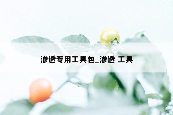 渗透专用工具包_渗透 工具