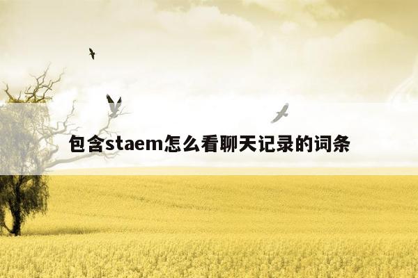 包含staem怎么看聊天记录的词条