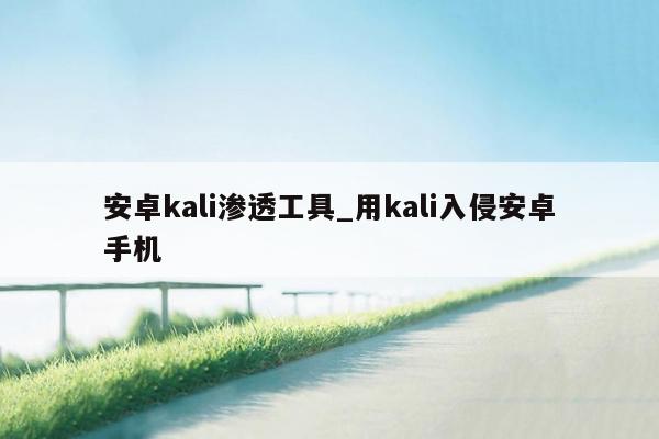 安卓kali渗透工具_用kali入侵安卓手机