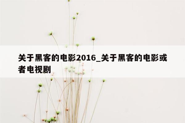 关于黑客的电影2016_关于黑客的电影或者电视剧