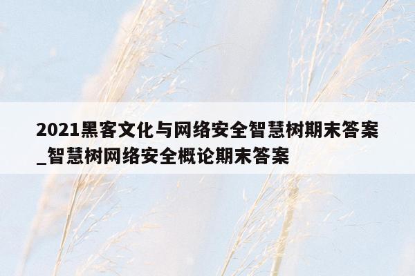 2021黑客文化与网络安全智慧树期末答案_智慧树网络安全概论期末答案