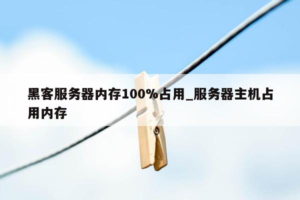 黑客服务器内存100%占用_服务器主机占用内存