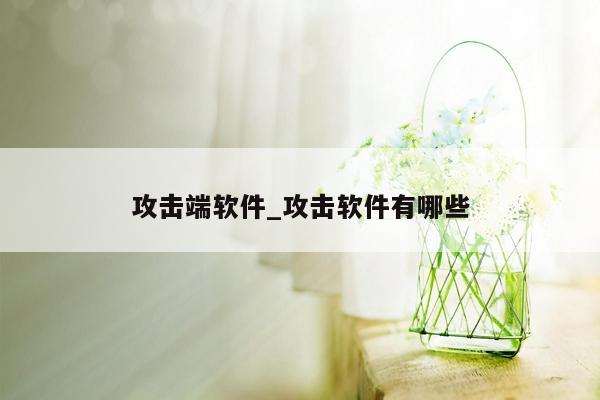 攻击端软件_攻击软件有哪些