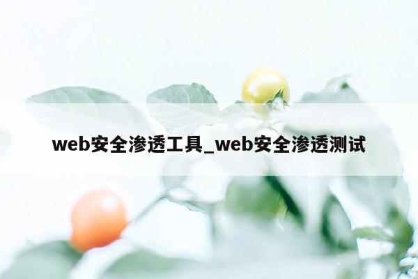 web安全渗透工具_web安全渗透测试