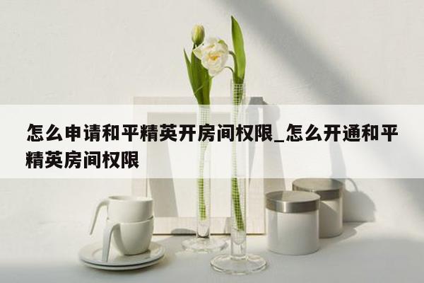 怎么申请和平精英开房间权限_怎么开通和平精英房间权限