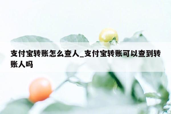 支付宝转账怎么查人_支付宝转账可以查到转账人吗