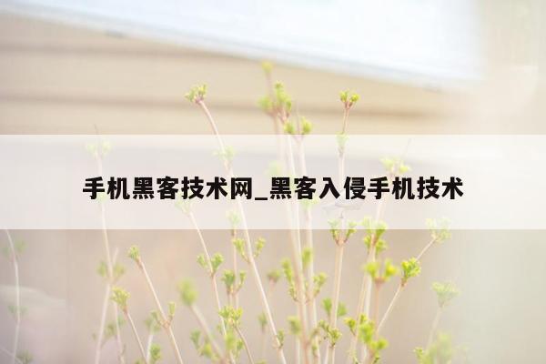 手机黑客技术网_黑客入侵手机技术