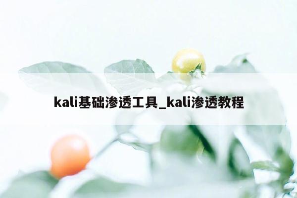 kali基础渗透工具_kali渗透教程