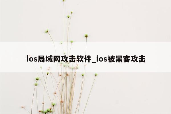 ios局域网攻击软件_ios被黑客攻击